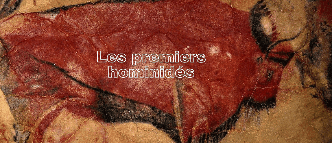 Act 1 premiers hominides