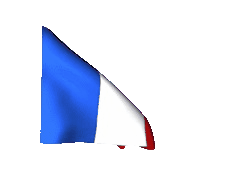 Drapeau france 240 gif unscreen