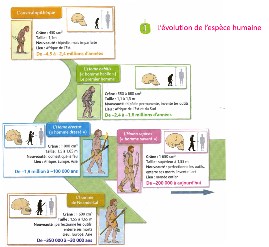 Evaluation Les Débuts De L'humanité 6ème Pdf Les débuts de l'humanité
