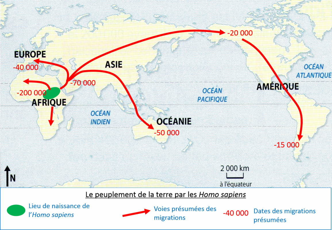 Les Débuts De Lhumanité 6ème Cours Pdf Les débuts de l'humanité