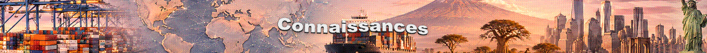 Logo connaissances geo 4e